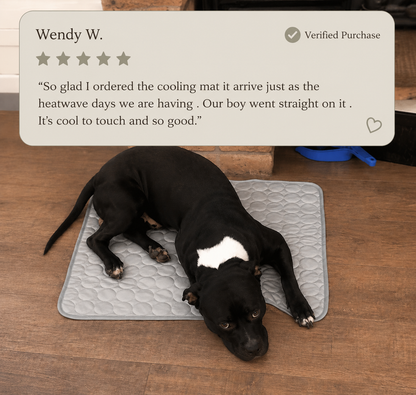 Pawluna's Self-Cooling Pet Mat
