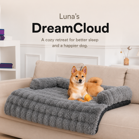 Pawluna's DreamCloud