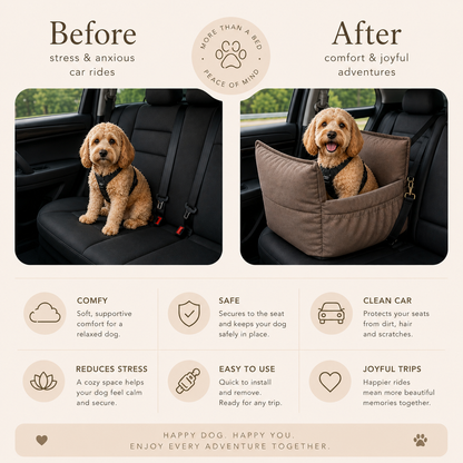 Pawluna's Carseat