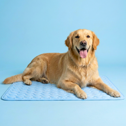 Pawluna's Self-Cooling Pet Mat