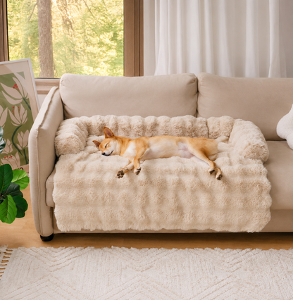 Pawluna's DreamCloud