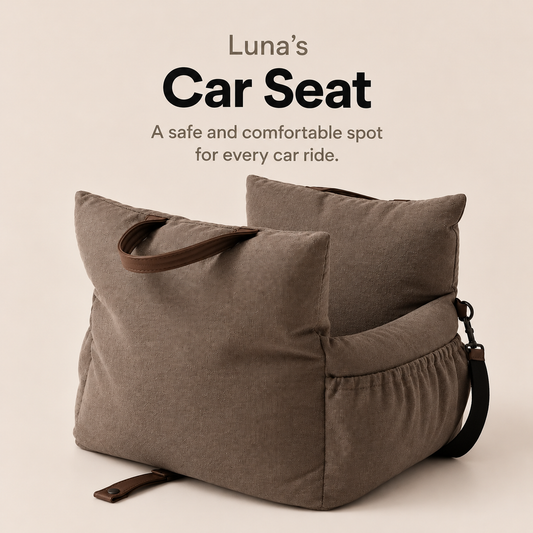 Luna's Carseat