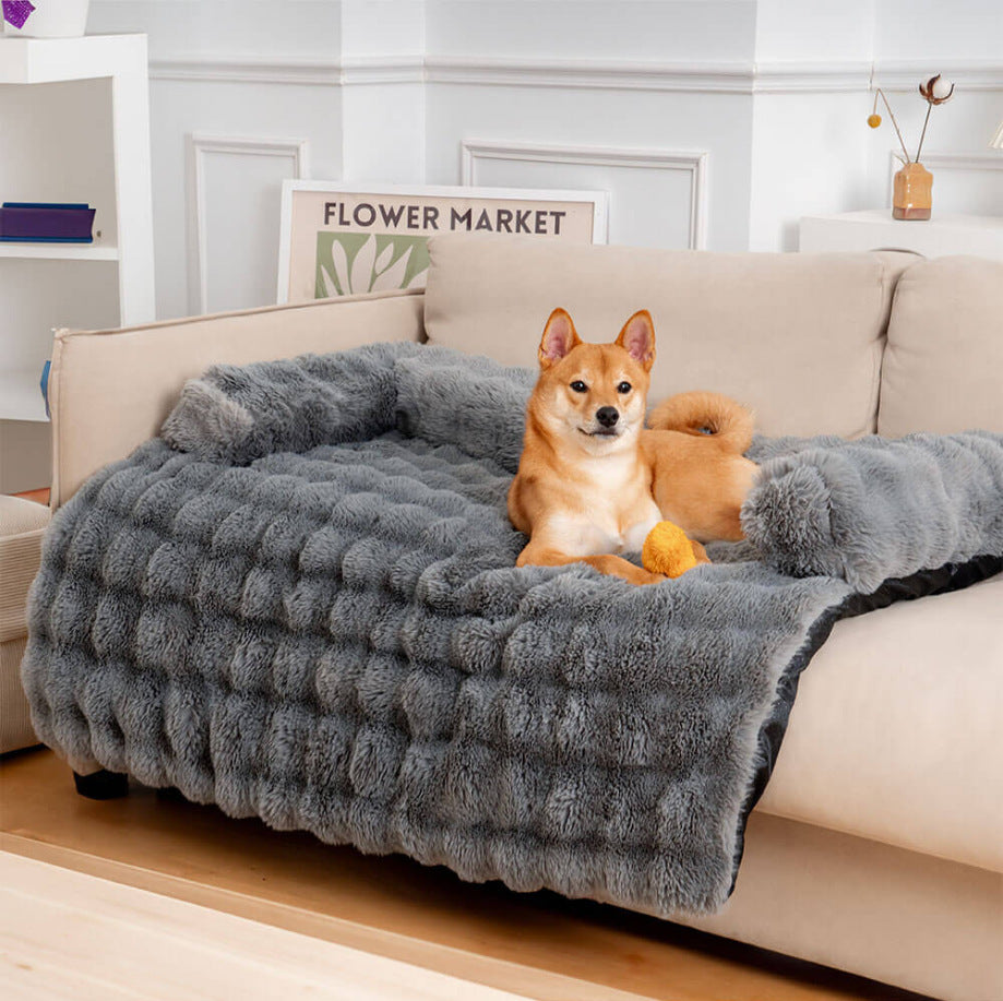 Pawluna's DreamCloud