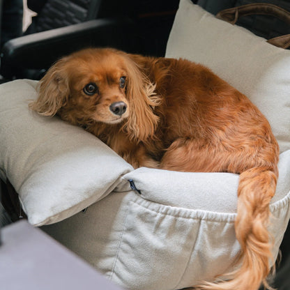 Pawluna's Carseat