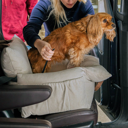 Pawluna's Carseat