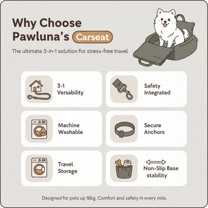 Pawluna's Carseat